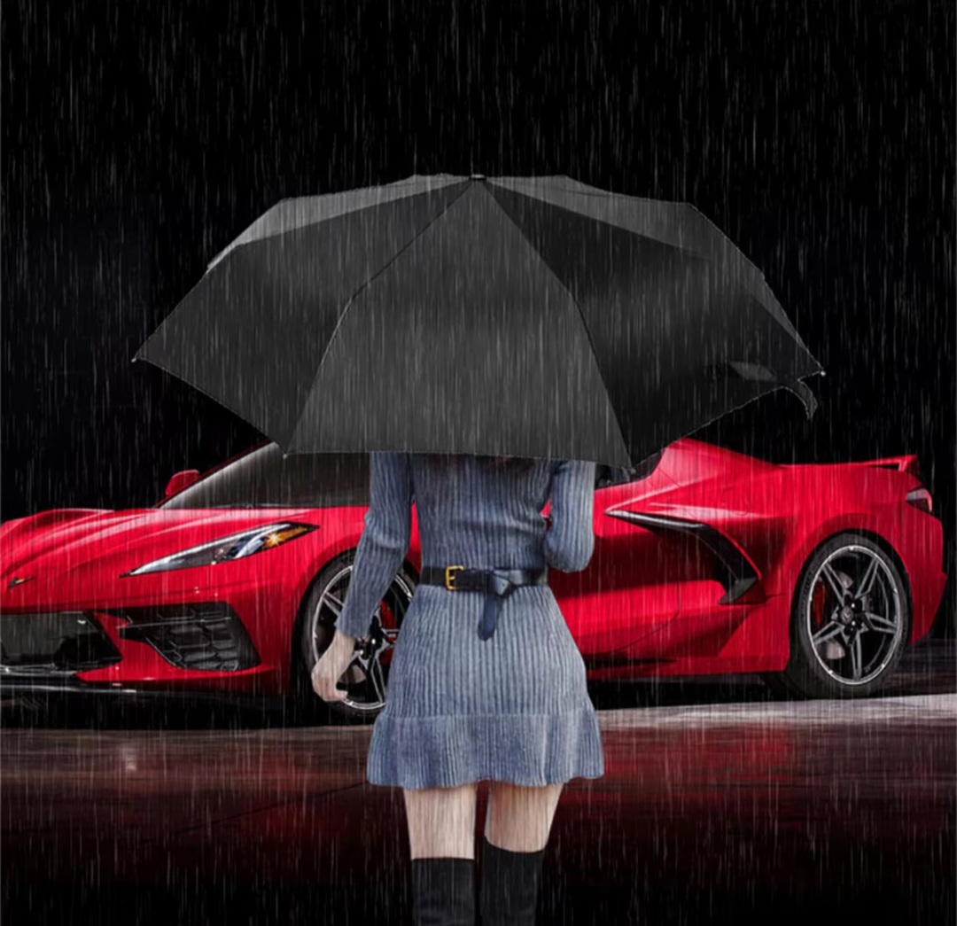 F120250212204738.jpg