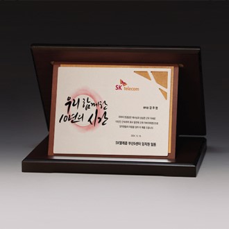 ������ ���� ���� Ʈ���� S8A021-2