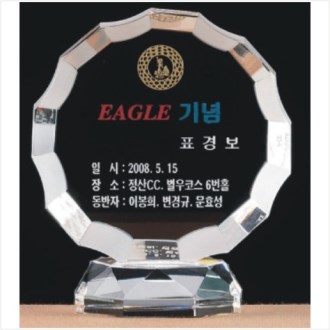 ũ����Ż ���� ���� 250-11